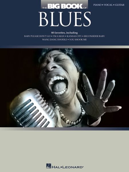 Big Book Of Blues.
