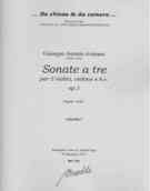 Sonate A Tre, Op. 1 : Per 2 Violini, Violone E Basso Continuo / edited by Antonio Frige.