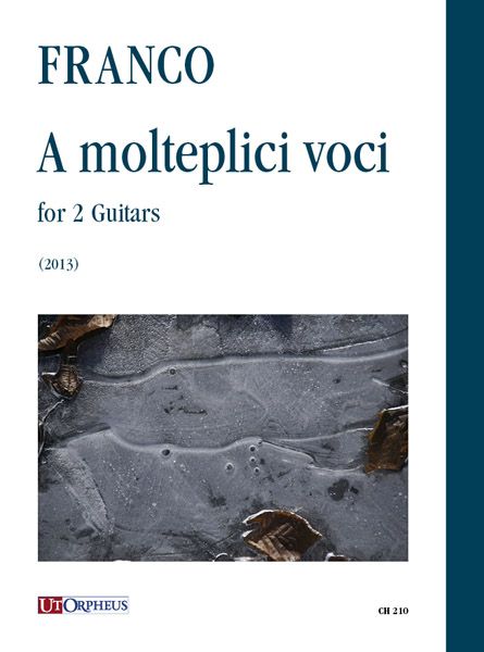 Molteplici Voci : For 2 Guitars (2013).