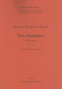 Trio Sinfonico In D Major, Op. 123 : For Violin, Cello and Piano.