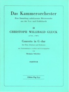 Concerto In G-Dur : Für Flute (Violine) und Orchester.