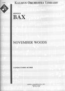 November Woods : For Orchestra.