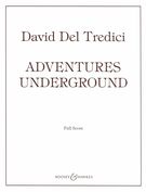 Adventures Underground : For Soprano Solo, Folk Group and Orchestra.