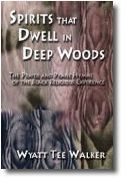 Spirits That Dwell In Deep Woods : The Prayer and Praise Hymns Of The Black Religious Experience.