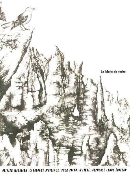Catalogue Des Oiseaux, Book 6 : 10. le Merle De Roche.