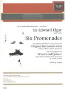 Six Promenades : For 2 Flutes, Oboe, Clarinet and Bassoon / arranged by Trevor Cramer.