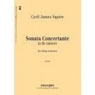 Sonata Concertante In Re Minore : For String Orchestra (2008).