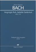 Vergnügte Ruh, Beliebte Seelenlust, BWV 170 / edited by Daniela Wissemann.