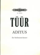 Aditus : Für Sinfonieorchester (2000, Rev. 2002).