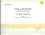 Star Of Wonder : A Christmas Mash-Up For Percussion Ensemble / arr. Nathan Daughtrey.