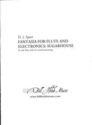 Fantasia For Flute and Electronics - Sugarhouse : For Solo Flute and Live Sound Processing.