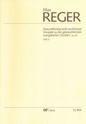 Zweiundfünfzig Leicht Ausführbare Vorspiele Zu Den Gebräuchlichsten Evangelischen Chorälen, V. 3.