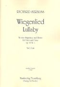 Fuenf Leider, Op. 41 No. 1 : For Low Voice and Piano (German/English).