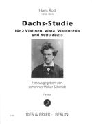 Dachs-Studie : Für 2 Violinen, Viola, Violoncello und Kontrabass / Ed. Johannes Volker Schmidt.