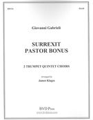 Surrexit Pastor Bouns : For 2 Trumpet Quintet Choirs / arr. by James Klages.