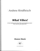 What Vibes! : For Flute (Piccolo), E Flat Or B Flat Clarinet, Violin, Cello, Piano and Percussion.