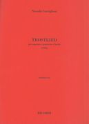 Trostlied : For Soprano E Quartetto d'Archi (1994).