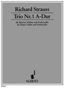 Trio Nr. 1 In A-Dur : Für Klavier, Violine und Violoncello, O.Op. Av 37 (1877).