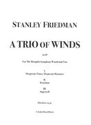 Trio of Winds : For Flute, Clarinet and Bassoon (2018).