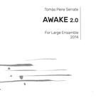 Awake 2.0 : For Large Ensemble (2014).