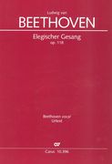 Elegischer Gesang, Op. 118 : Per Coro (SATB), 2 Violini, Viola, Violoncello / edited by Uwe Wolf.