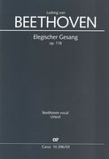 Elegischer Gesang, Op. 118 : Per Coro (SATB), 2 Violini, Viola, Violoncello / edited by Uwe Wolf.