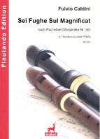 Sei Fughe Sul Magnificat Nach Pachelbel (Marginalia Nr. 36) : Für Blockflötenquartett (TBBB).